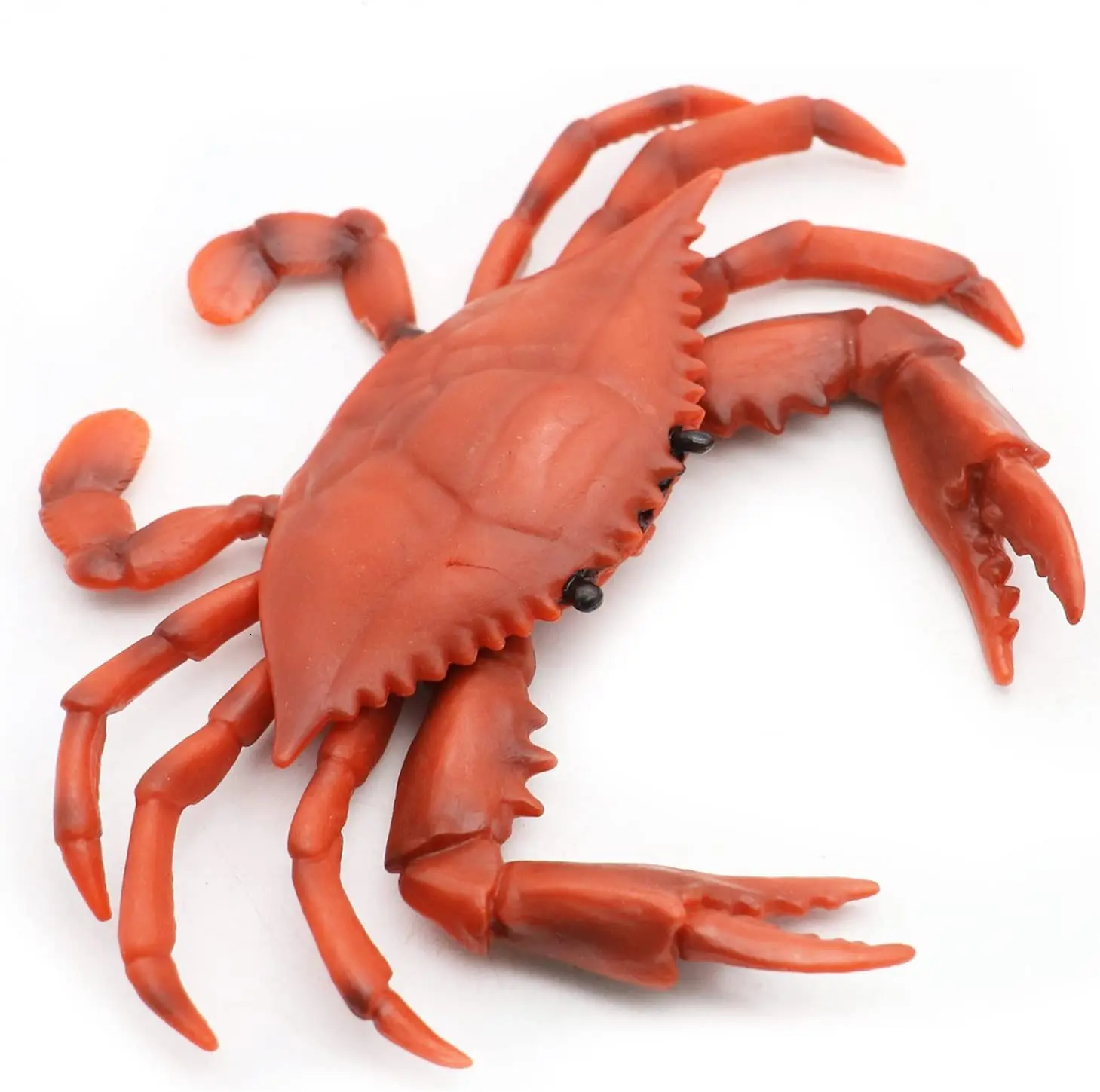 snow crab antarctica / deep sea crab/ baby king crab discount