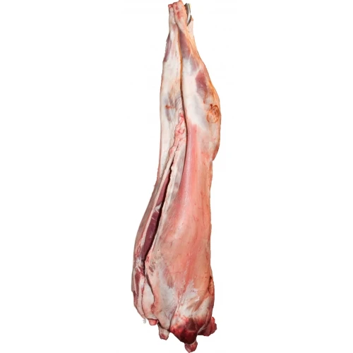 Frozen Mutton meat ewtety