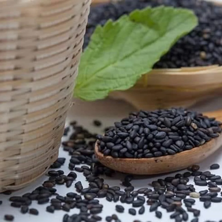 Top Quality Basil Seed Supplier From Vietnam / Vietnam Spices / +ivy