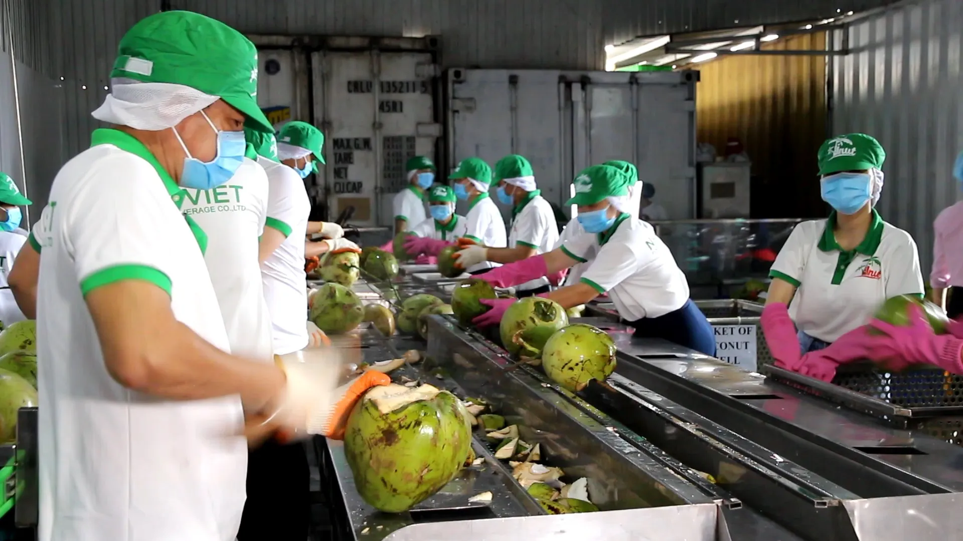 330 мл винут (консервированной) кокосовой воды с персиковым бесплатным образцом, бесплатный дизайн этикетки дистрибьюторов нежирных натуральных 100%