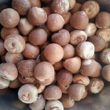 Betel Nuts..jpg