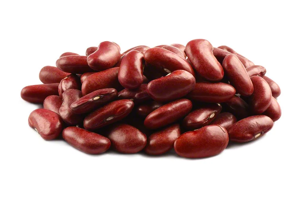 RED KIDNEY.jpg