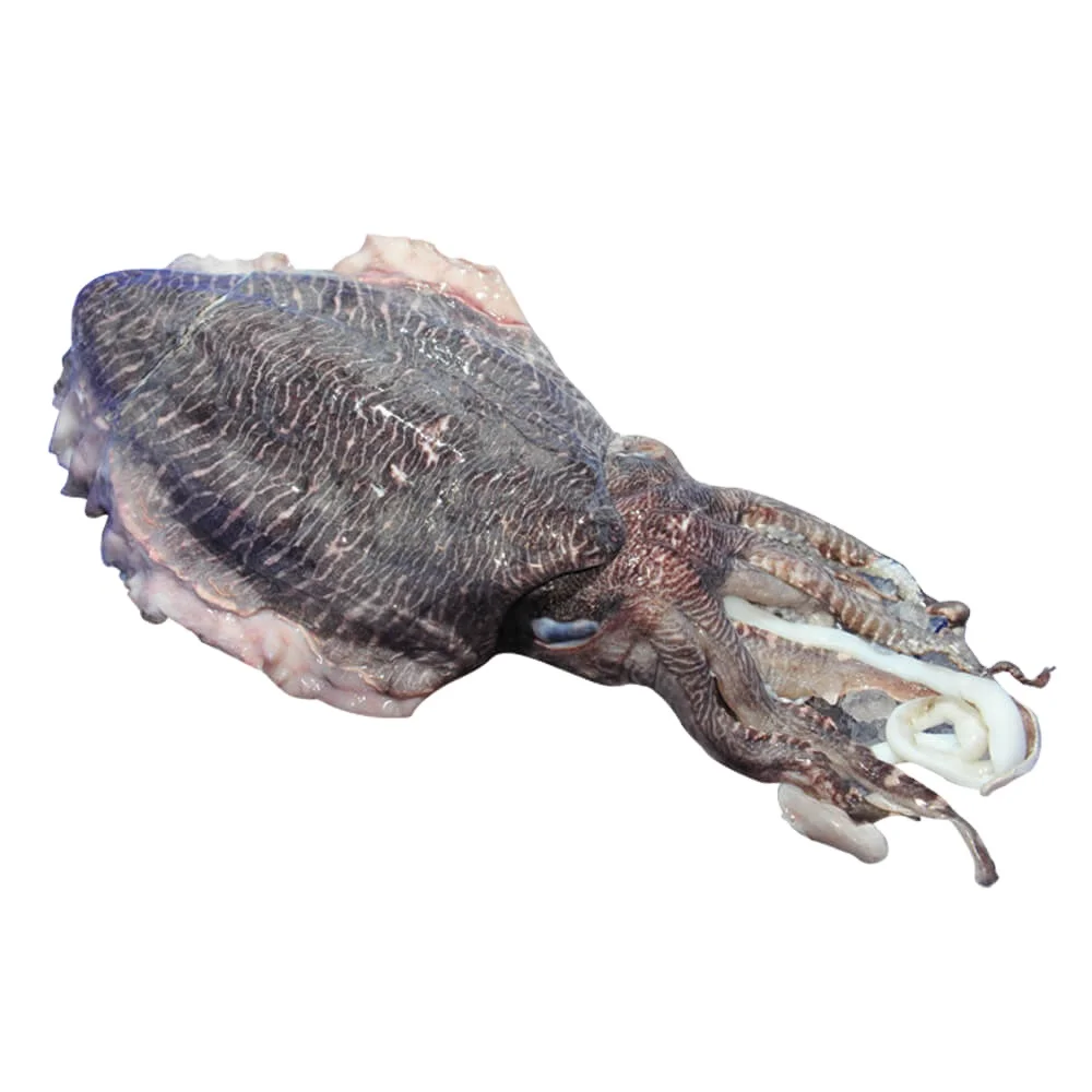 14 (1).png