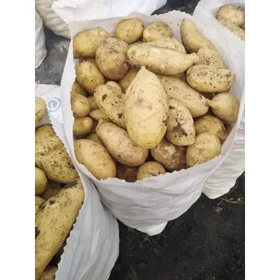 potatoes6.jpg