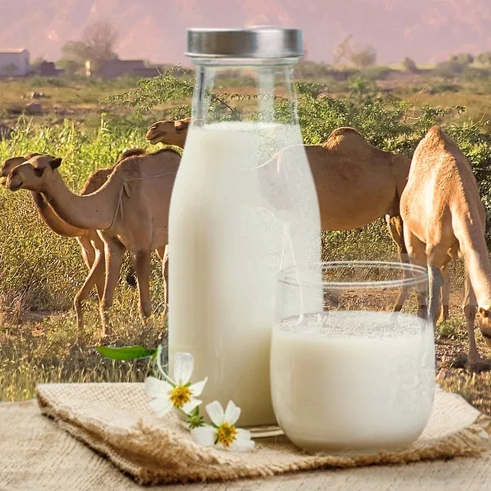 Organic Camel Milk Powder Buy Camel Milk Powder Product On Alibaba Com