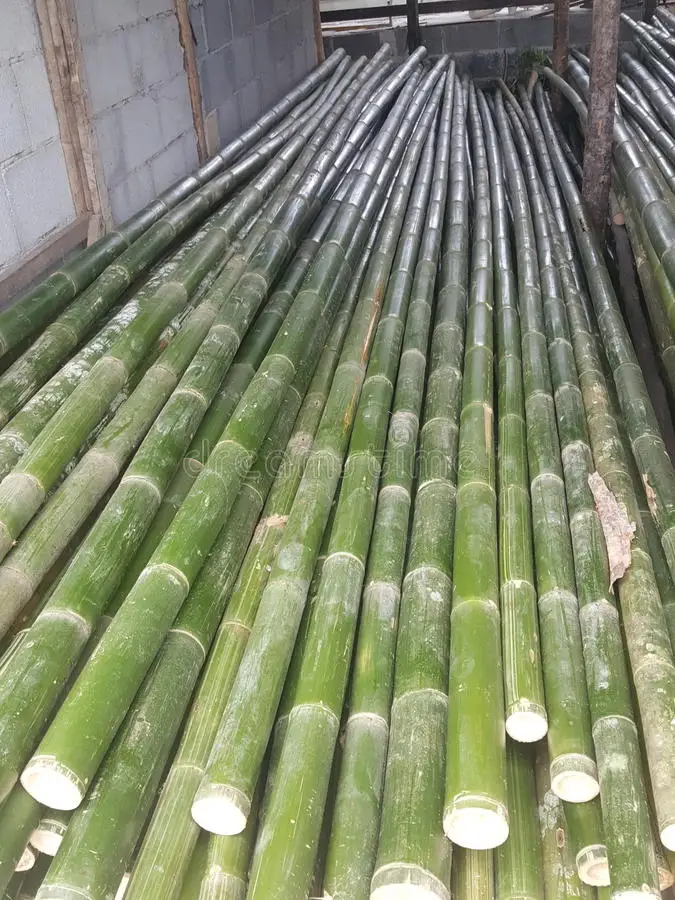 Садовая сушеная бамбуковая трость, бамбуковая палочка, бамбуковая палочка для plantns/бамбуковые трости/бамбуковая палочка