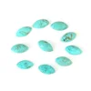 Arizona Turquoise
