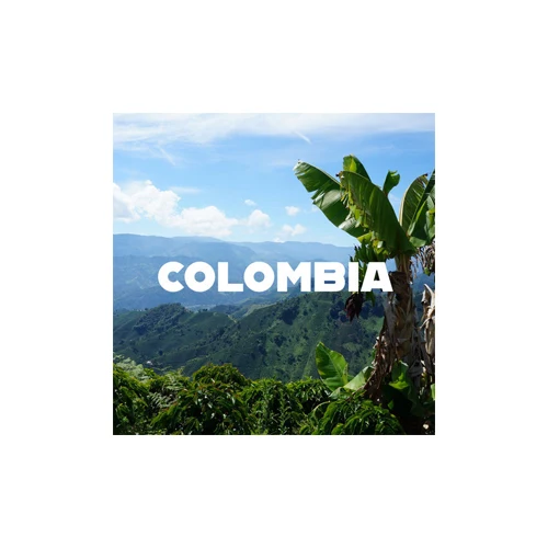 Fully Washed Colombia Excelso EP Green Coffee Factory Price Standard Quality Whole Bean