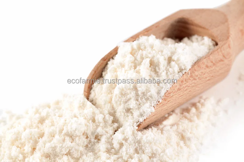 Premium Quality Low Fat Coconut Milk Powder Natural Organic Coco Cream