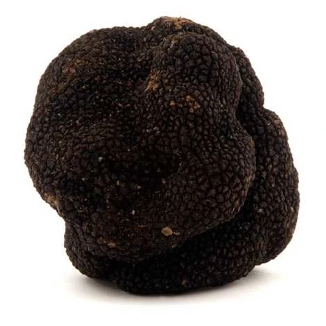 Good Quality Natural Black Truffles - Buy White Truffle Oil,Tuber Uncinatum Black Truffles,Dried White Truffle Product on Alibaba.com