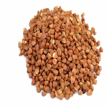 buckwheat hulls bulk