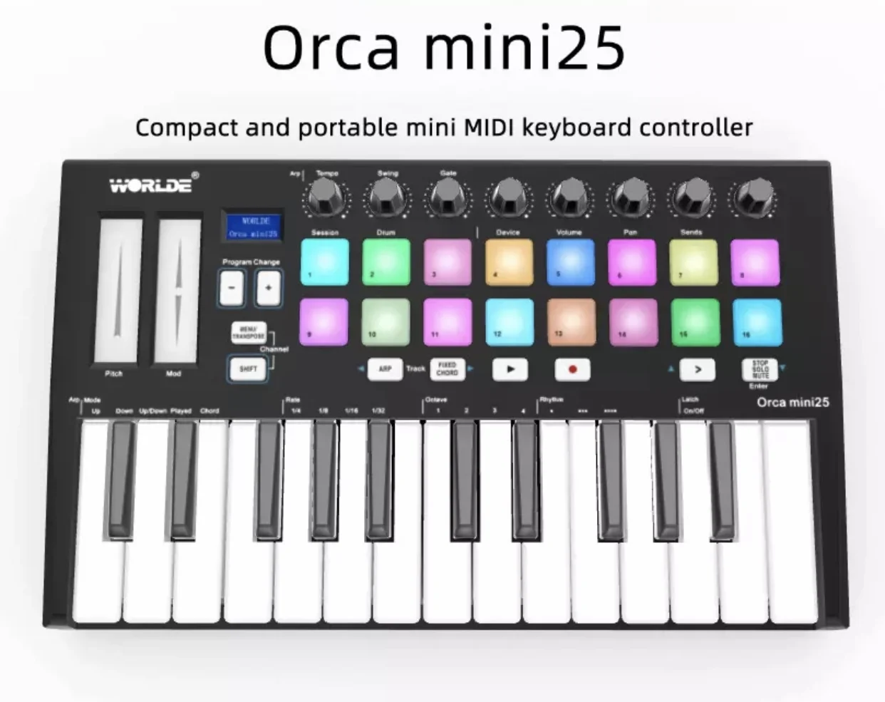 worlde orca mini25