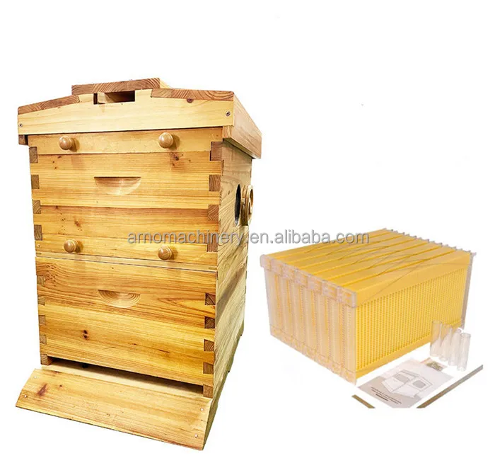 Bee box (5).jpg