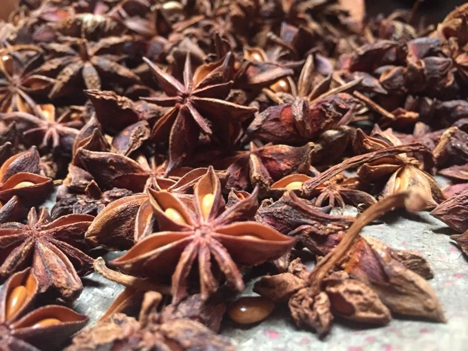 100 Natural Star Anise Star Aniseed Illicium Verum For Export From