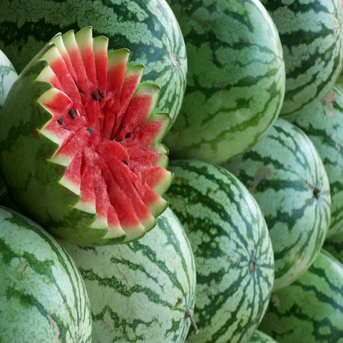 Fresh Sweet Seedless Watermelon,Seeded Watermelon,Galia Melons And