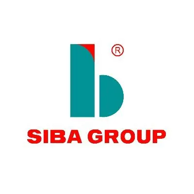 Company Overview - SIBA HIGH-TECH MECHANICAL GROUP JOINT STOCK COMPANY