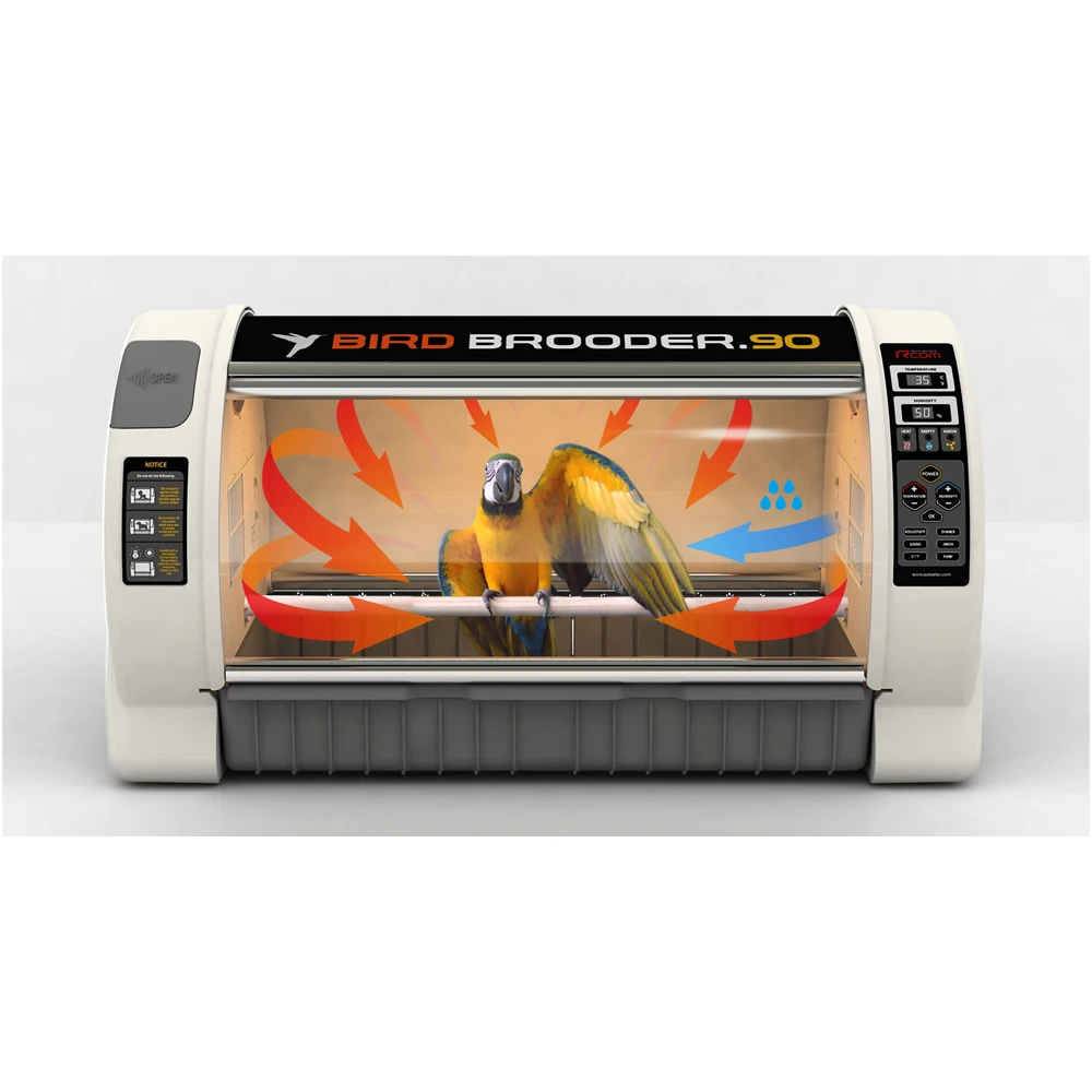 Innovative-Chick-Brooder-