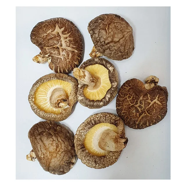 [SMH-45] Корея свежие сушеных грибов шиитаке hyanko из