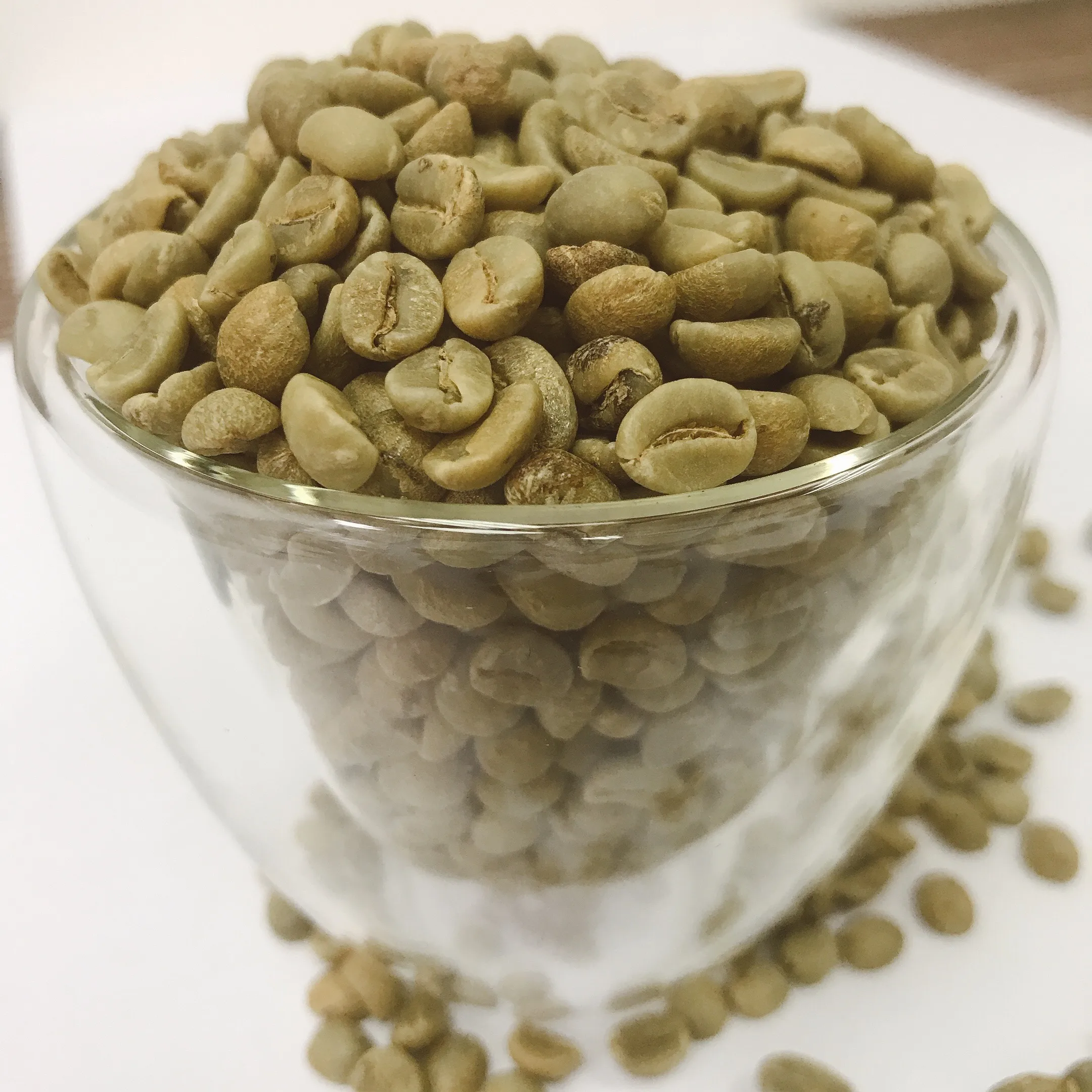 Small Order Accepted 2kg Ready for Shipping Vietnamese Green Coffee Bean Arabica with Wholesale Price Fully Wash Process
