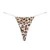 Leopardo bianco