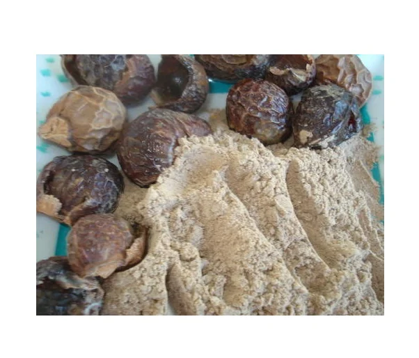 SOAP NUT POWDER BEST PRICE in BULK ORGANIC SOAP NUT EXTRACT POWDER for NATURAL DETERGENT BEST PRICE//MS.RACHEL +84896436456