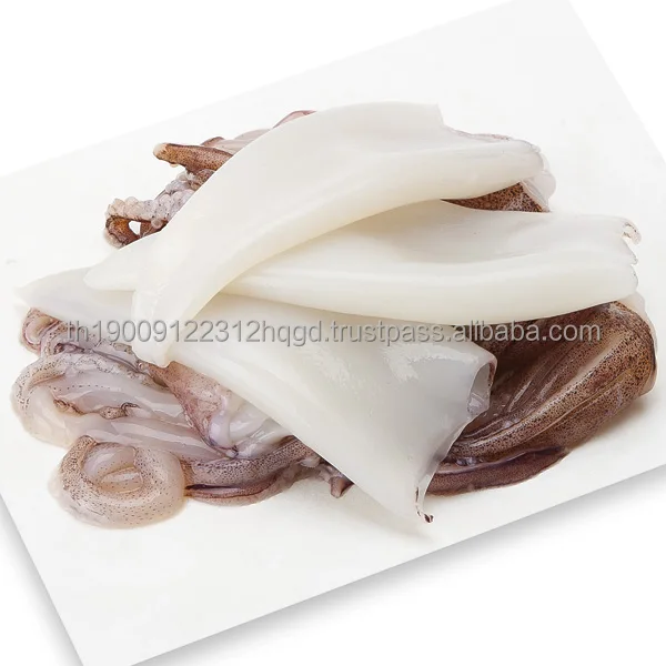 Wholesale Seafood Block Frozen Thailand Squid Scientic Name Of