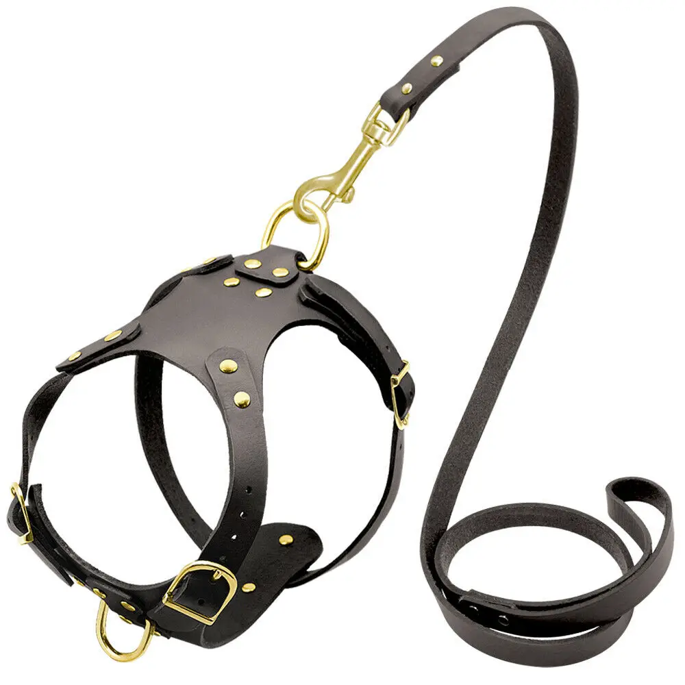 leather no pull dog harness