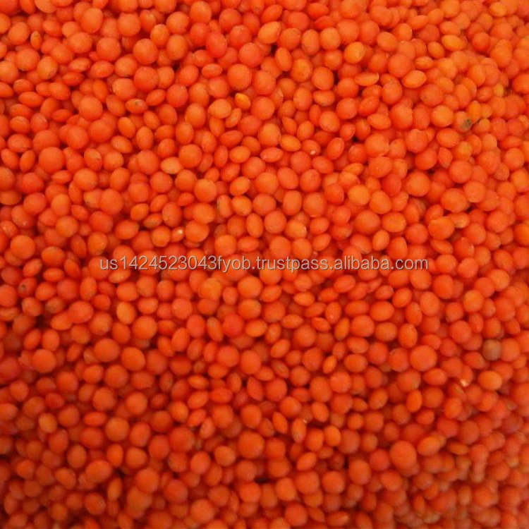 Green & Red Lentils1.jpg
