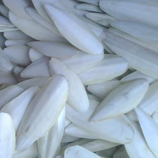 high quality dried cuttlefish bone for caged birds,chinchillas