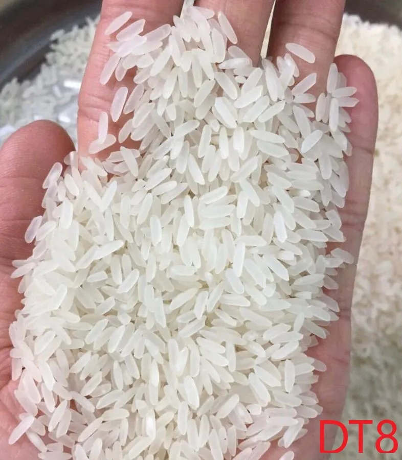 DT8 вьетнамский ароматный рис 5% сломанный // Vietnam Duftreis gebrochen gunstiger Preis // Whatsapp 84 982 069121