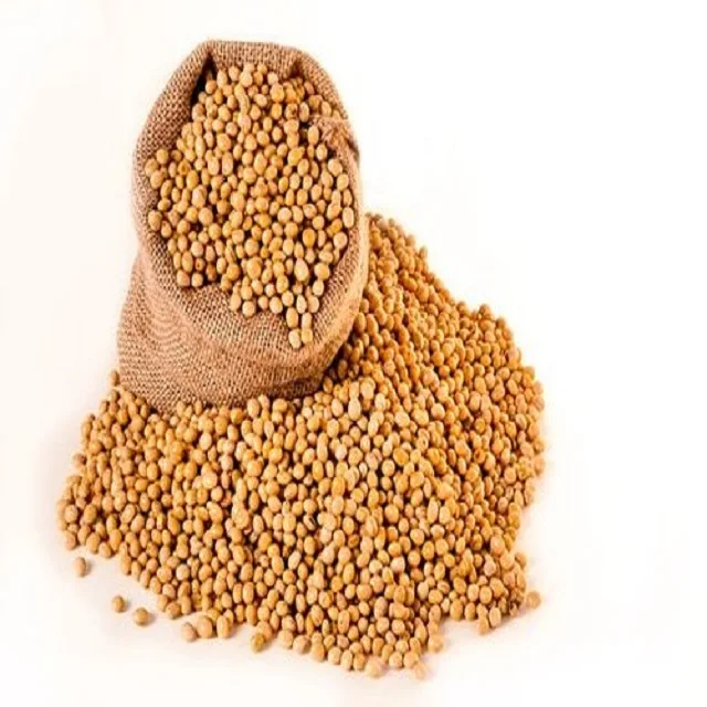soyb33.jpg
