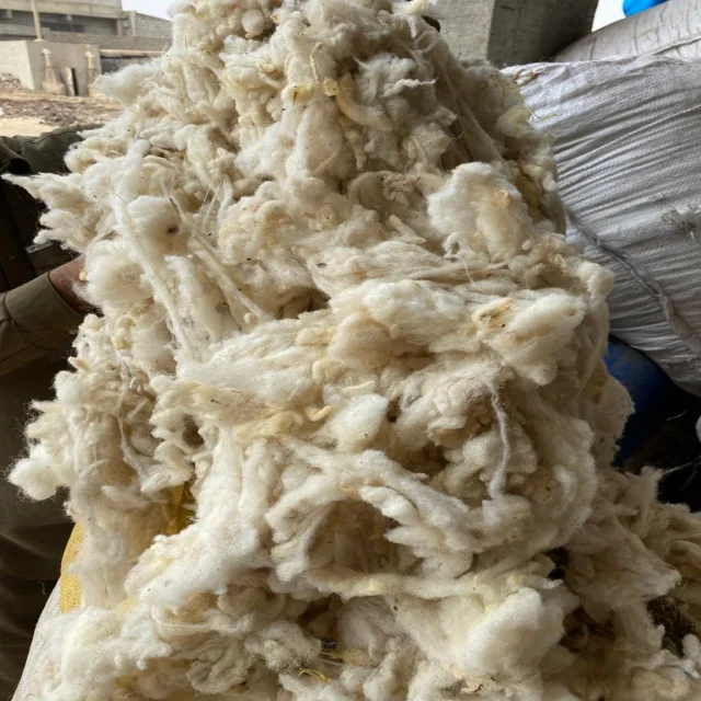 Шерсть/Шерстяное волокно