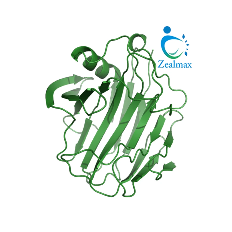 卸売業者による高品質セルラーゼ酵素製品メーカー Zealmax Biopharma Buy Cellulase Cellulase消化酵素 Cellulase酵素販売のため遠藤セルロース酵素消化酵素ブロメライン Cellulase酵素価格novozymesセルロース商業セルロース Cellulase Ap3アミラーゼリパーゼpepsin