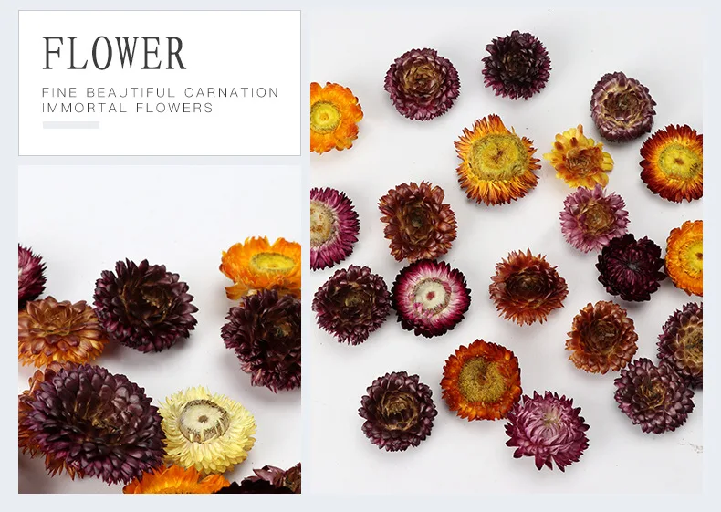 Wholesale BLH Dried Flowers and Herbs 100% Natural Dry Flowers for Candle  Making, Resin Jewelry Bath Bombs DIY pressed flower Best gift for  Valentine's day From m.
