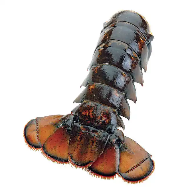 crawfish2.jpg