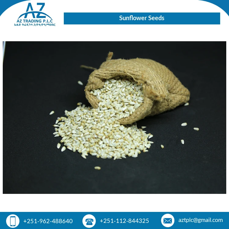 2021 Новое поступление сушеных семян подсолнечника для обычного культивирования оптом
