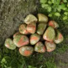 unakite