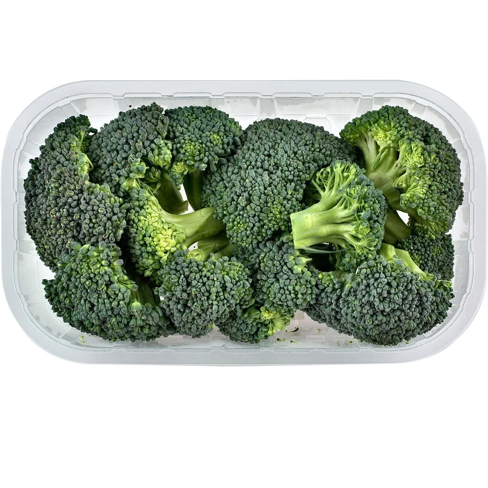 Brócoli fresco a la venta mejor precio y calidad, lechuga iceberg lista para exportar