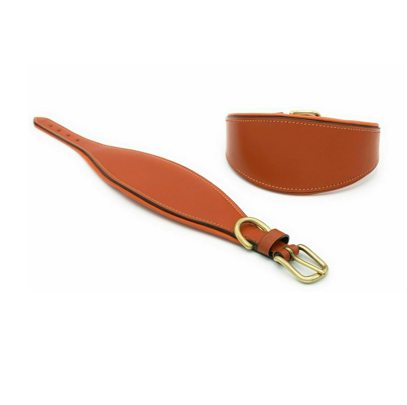 padded whippet collars