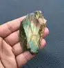 Multi