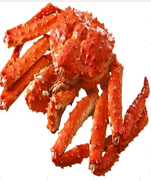 2 (1).png