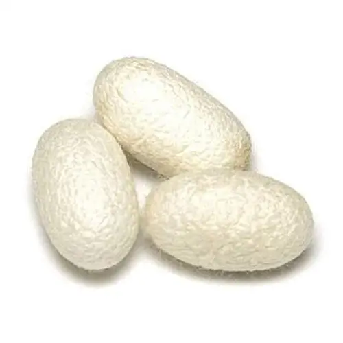 Протеины шелка. Hydrolyzed Silk. Протеины шелка parashok. White Silk Cocoon.