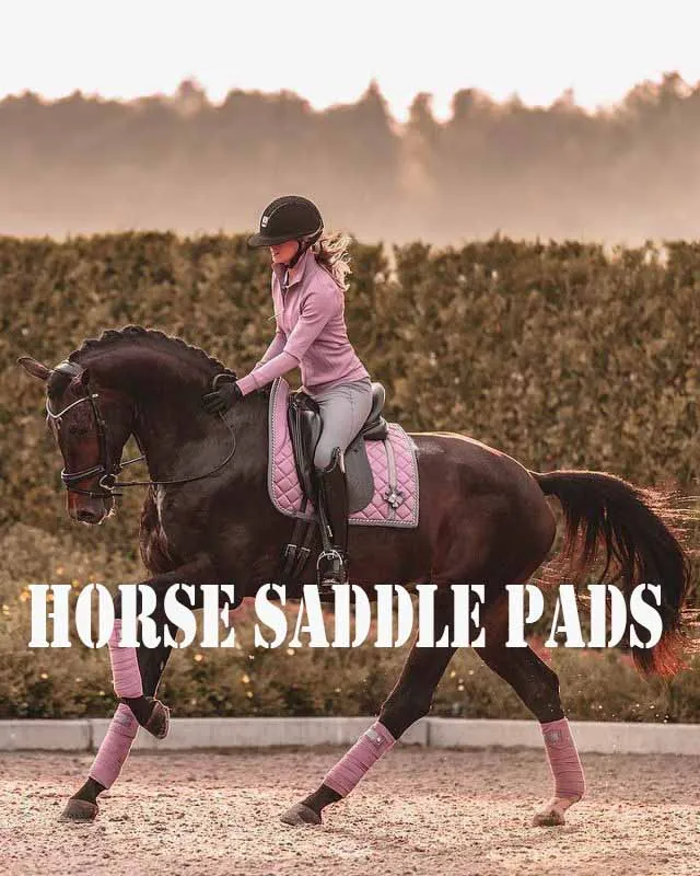 Best Quality Printed Design Horse Fly Boots Set Foot Protective Boot