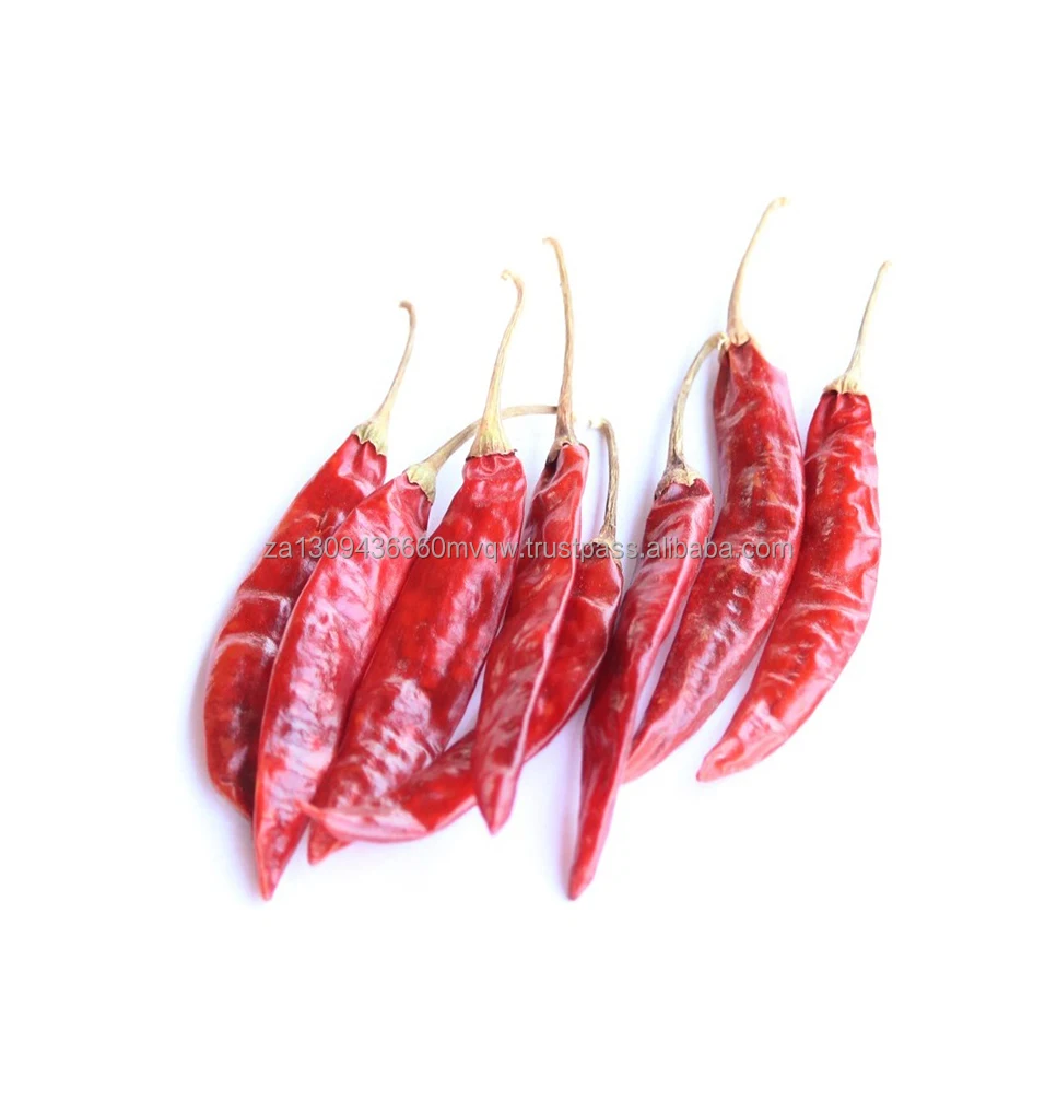 dried chilli 3.jpg