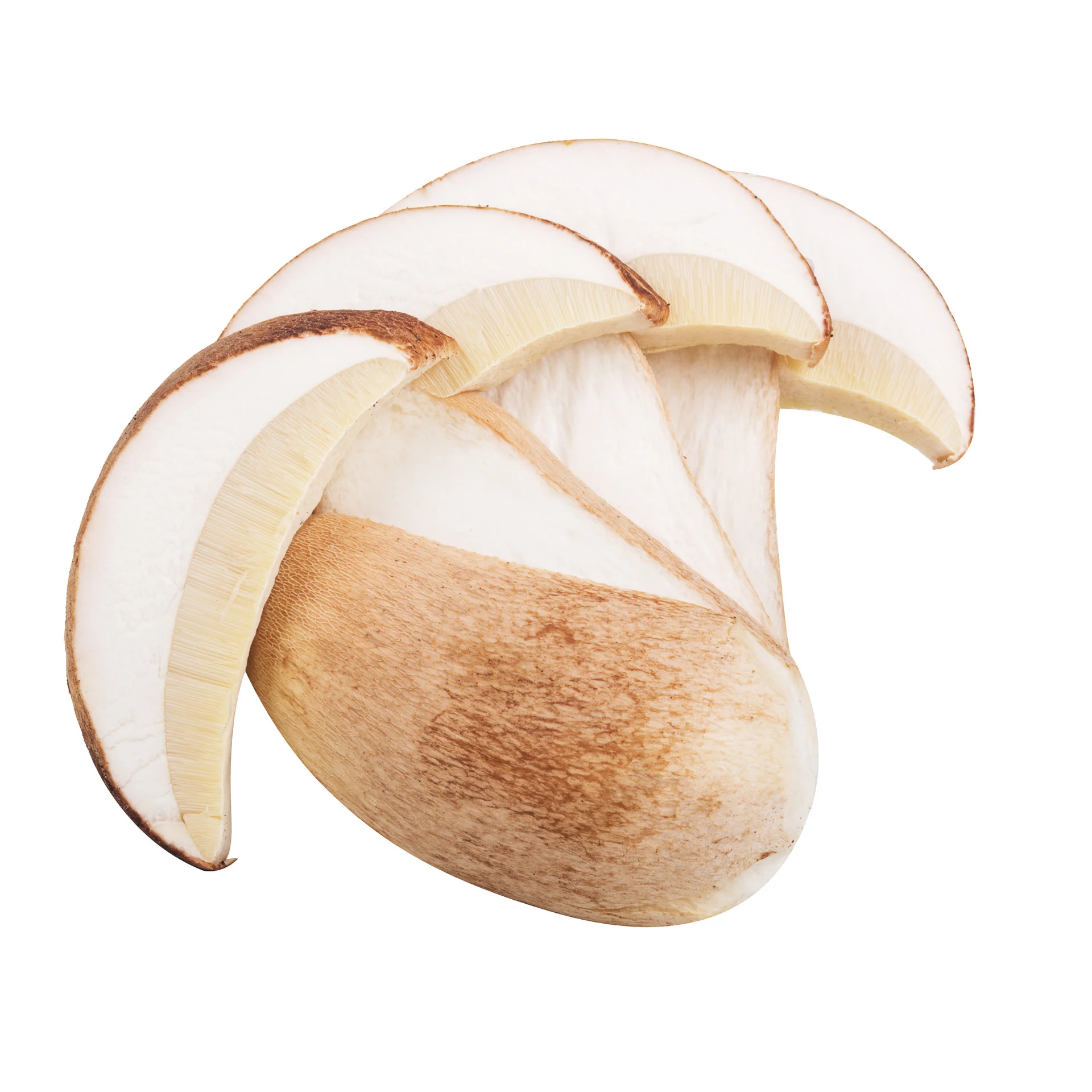 12 (5).png
