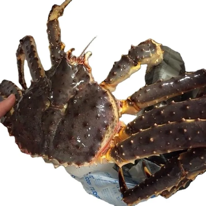 Король крабов. Кинг краб. Snow Crab замороженный.