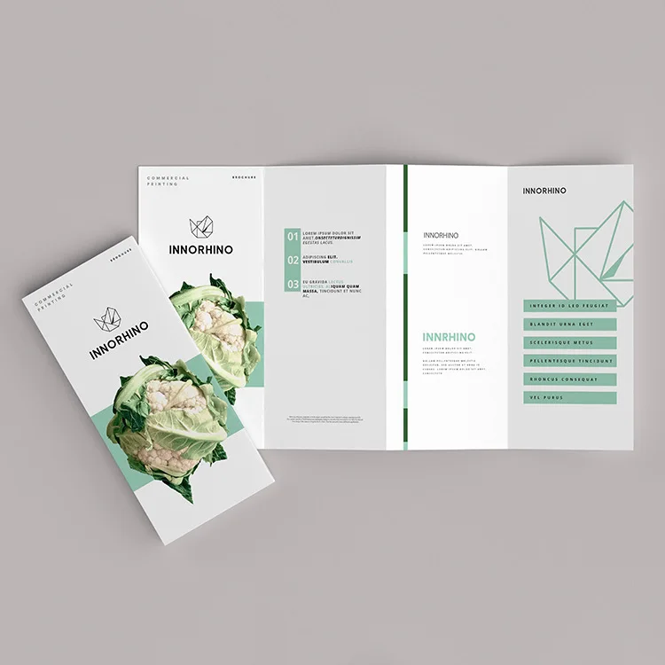 G3-01-02 2021 Custom printing company Folded leaflet booklet pamphlet brochure catelogue
