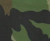 Woodlandcam