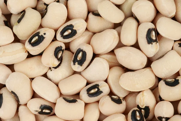 Quality White Black Eyed Cowpea/ Beans