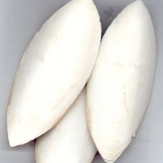 Высококачественная косточка Для морской слепки, конкурентоспособная цена от вьетнамского производителя